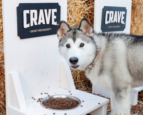 Futterstelle für Hunde aus Holz für die Veranstaltung Baltic Lights, davor steht ein Husky