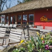 Blick auf das Bistro Delikater mit Frühlingsblumen im Vordergrund