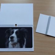 Kalender mit Ringbindung Ein aufgeklappter Kalender mit Ringsbindung.