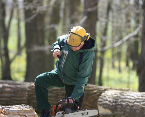 Eine Person mit Schutzhelm startet eine Kettensäge, Im Hintergrund Holzstämme