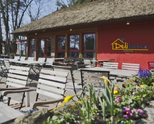 Blick auf das Bistro Delikater mit Frühlingsblumen und Sonnenschein