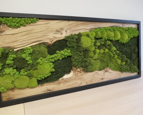 Blick auf ein Moosbild in Kombination mit Eichenholz