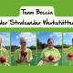 Vier Personen zeigen ihre Bocciakugeln. Das sind die Mitglieder des Teams Boccia der Stralsunder Werkstätten.